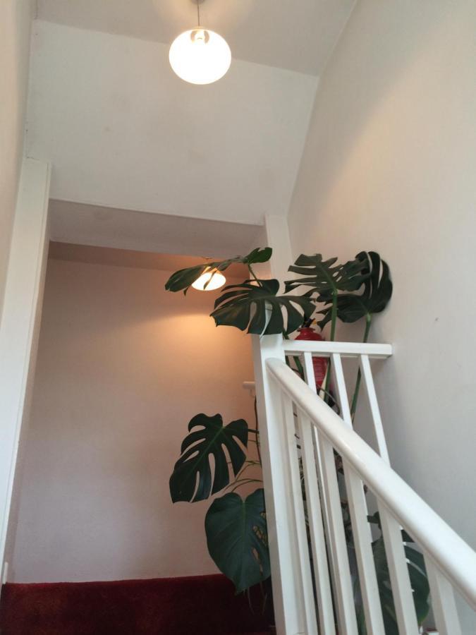 Fern Cottage Dorchester Exterior foto